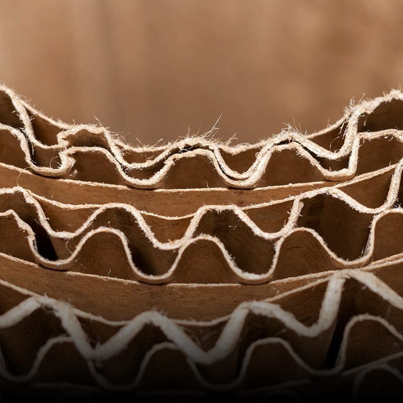 segmento-grafica-corrugado-1×1